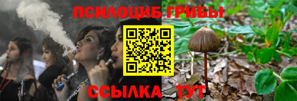 Астрахань  Галлюциногенные грибы Psilocybine cubensis  что такое наркотик  Вход с VPN  Псилоцибиновые грибы Magic Shrooms 